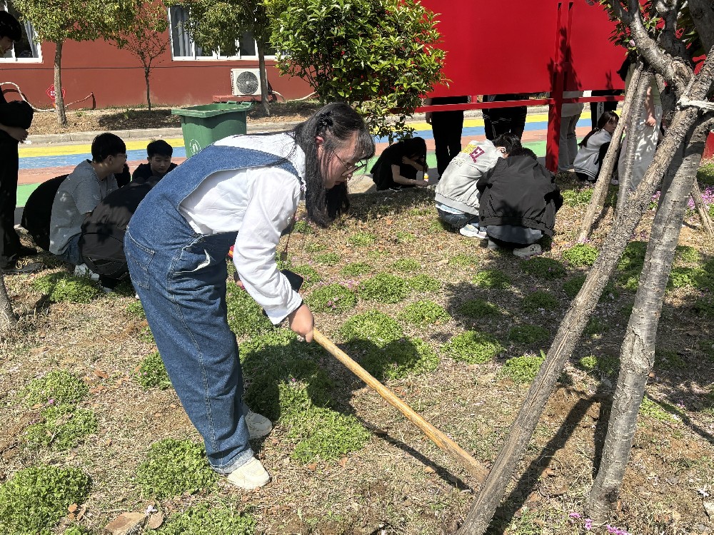 除草护绿践初心，凝心聚力美校园 | 我校师生共绘文明画卷