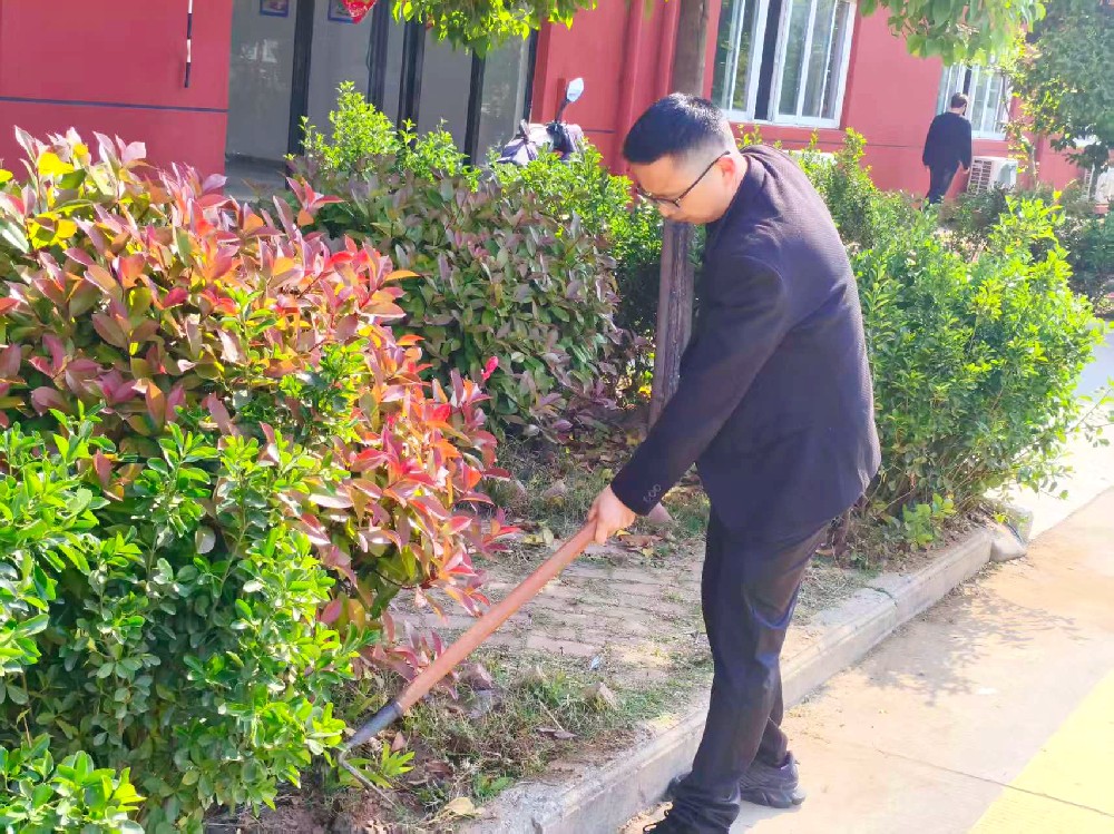 五一前夕，师生同心，共绘校园新风貌